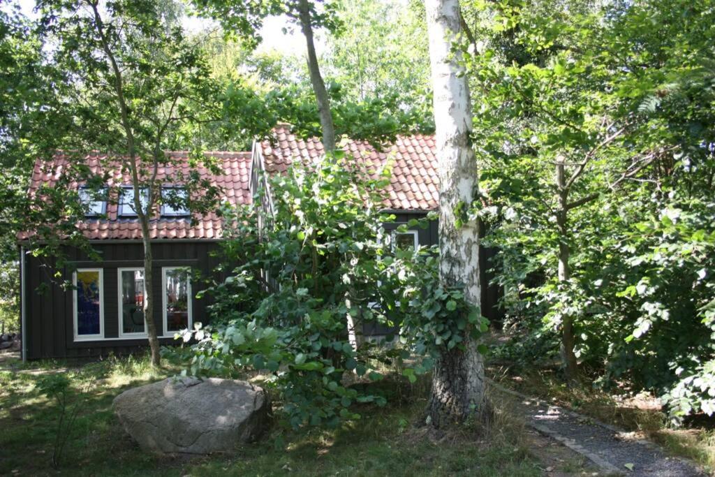 Oak Cottage Near Ronne & Beach Εξωτερικό φωτογραφία
